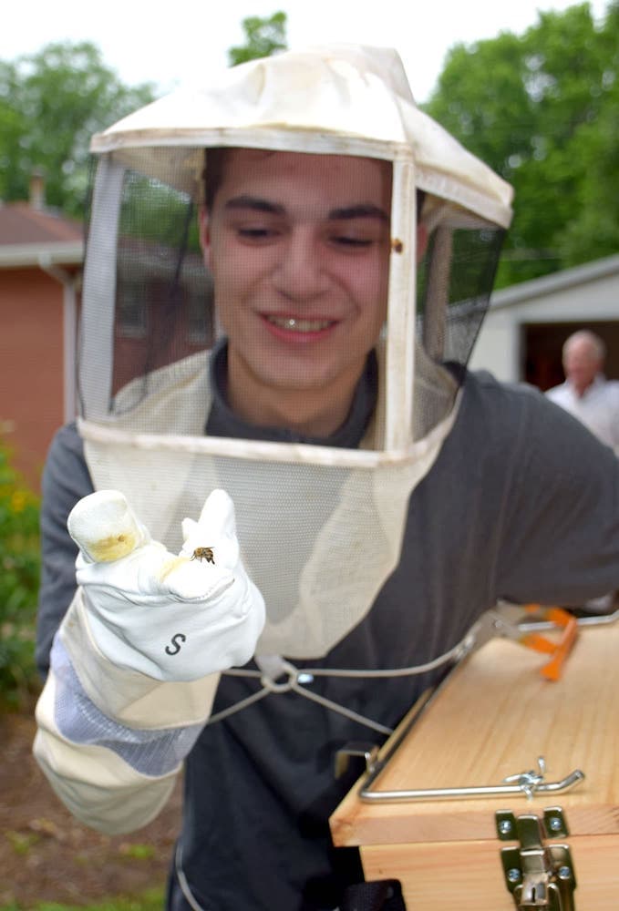 Student in bee keeper clothes meets his new bee friends