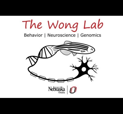Illustration of a zebra fish with tail as DNA changing to a sysnapse to represent the Wong Lab specialties of animal behavior, neuroscience, and genomics.