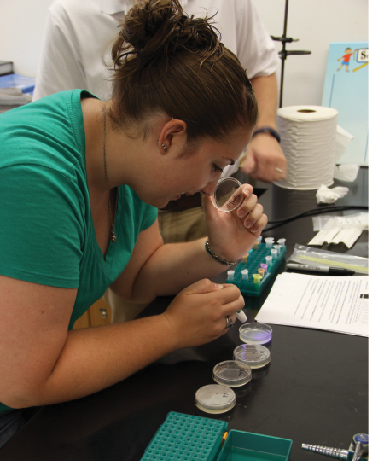 Student observing petri dishes