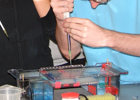 students using Electrophoresis