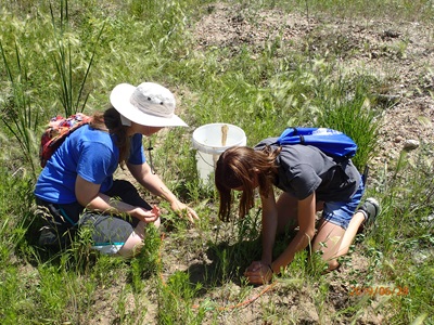 Two girls use their hands to collect a soil sample for analysis.