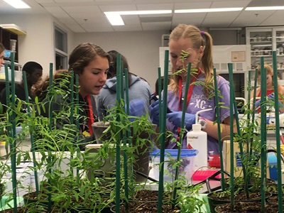 Students inspecting plants