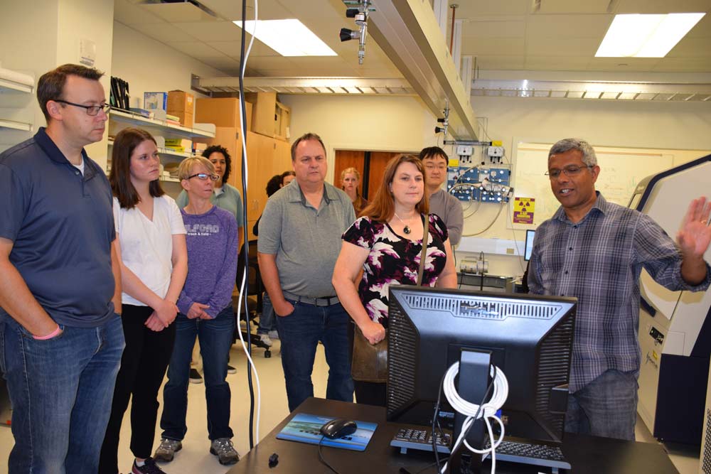 Teacher demonstrating to teachers at the computer 