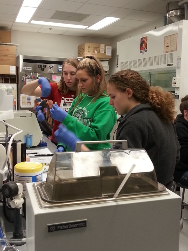 Students analyzing plant materials in a lab.