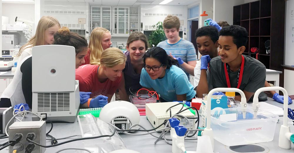students observing an experiment