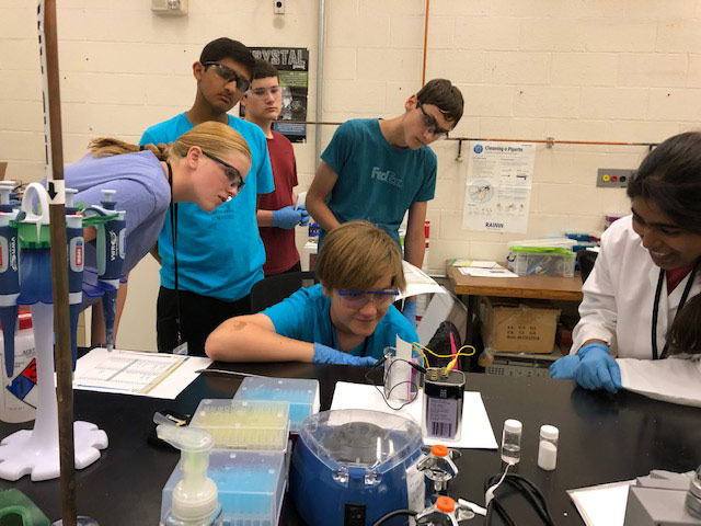 Students working as a group on an experiment