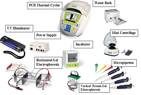 image showing visuals of equipment listing