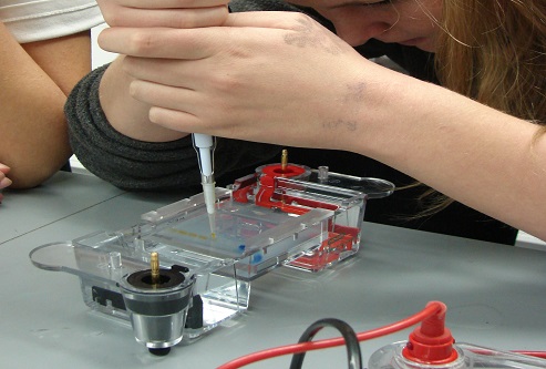 ${imageAsset.metadata.description}